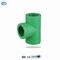 緑色PPRの管付属品のプラスチック ティー