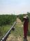 40mm 50mm 農村ポリパイプ給水灌漑システム